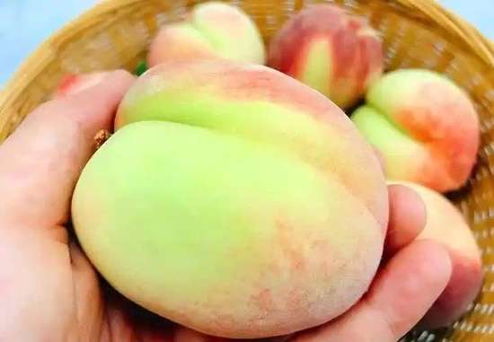 血糖高的人吃桃子的好处