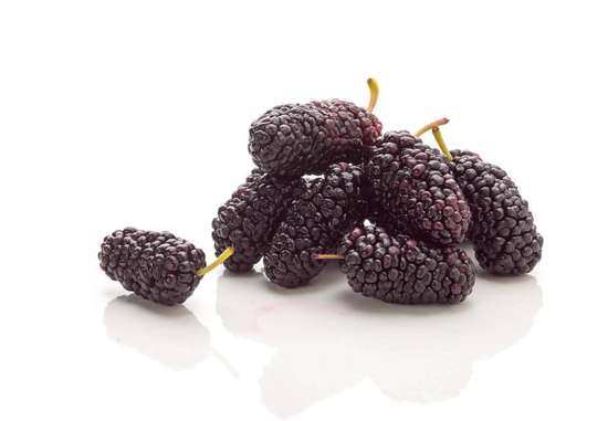 桑葚搭配什么补气血