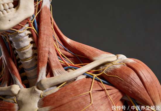 推拿可以放松肩颈吗