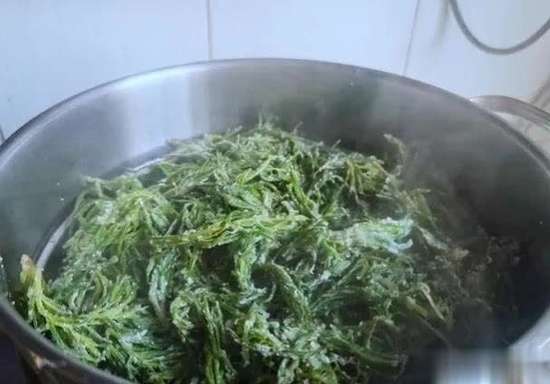 8道美味家常菜做法