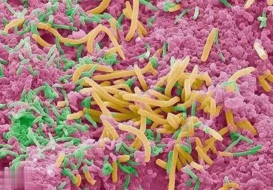 刷牙影响心脏健康的原因有哪些