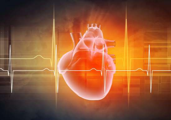 高胆固醇不能吃坚果吗