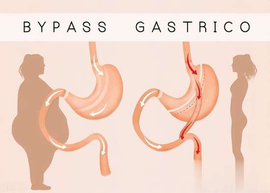 少吃是健康的王道