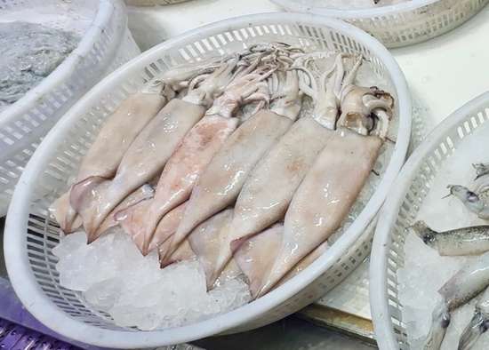 章鱼乌贼鱿鱼还在傻傻分不清吗