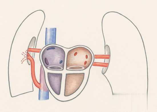 免疫力强的人一般有5个特征
