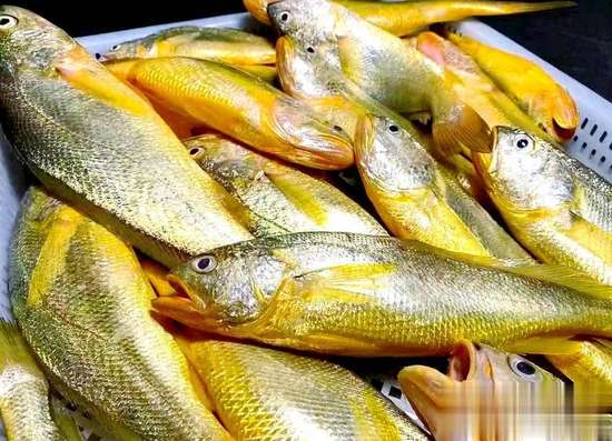 气色黄气血不足怎么调理