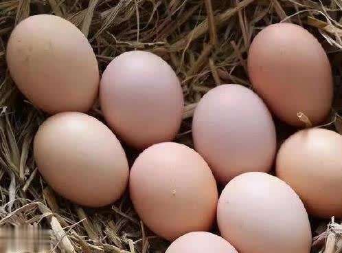 别再买高价补品