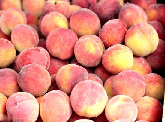 医生暗示多吃蔬菜