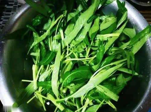 空心菜的副作用