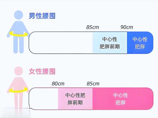 躺着就能瘦腰的动作