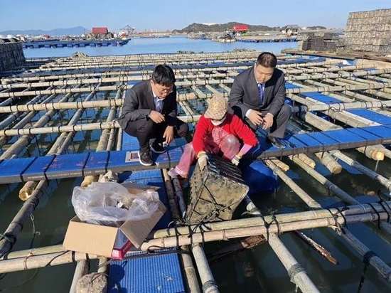 佛跳墙寻常百姓家