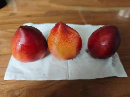 油桃糖尿病人可以吃吗