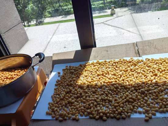 老人常吃的豆类有哪些