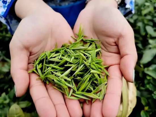 年龄越大越要少喝茶