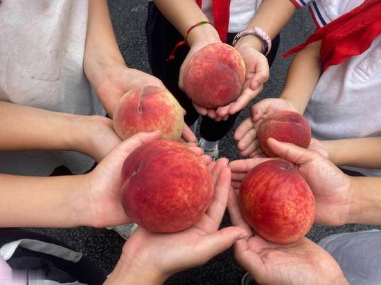 医生暗示多吃蔬菜