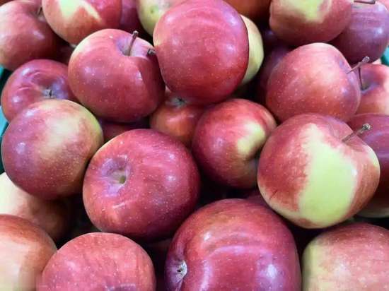 苹果对胆固醇的功效与作用