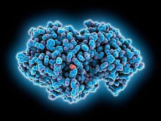 山药久服轻身延年