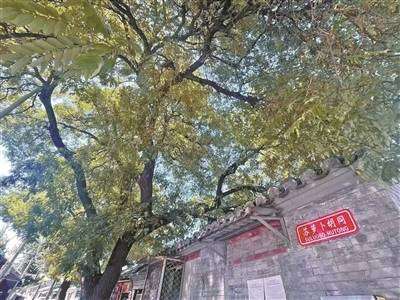 苏萝卜胡同夜市