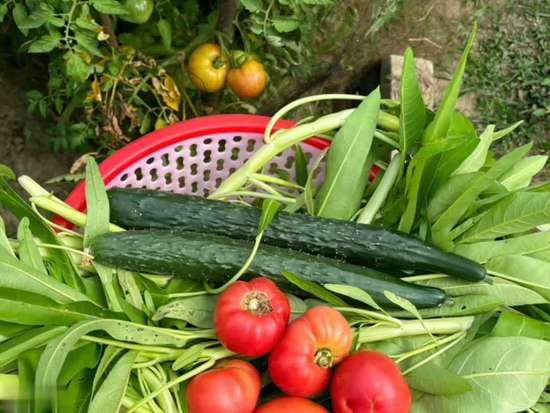 高胆固醇不能吃坚果吗