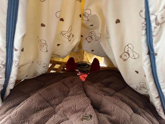 湖南省征稿启事