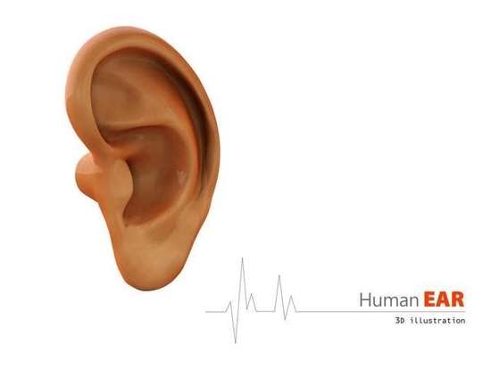 经常掏耳朵的危害