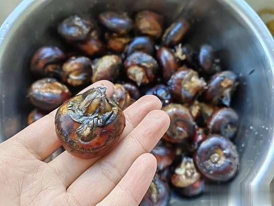 医生总是反复提醒吃柿子要多留心