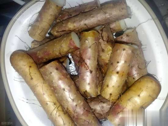 冬天进补适合吃什么食物