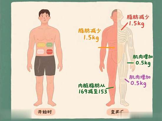 小空间燃脂训练方法