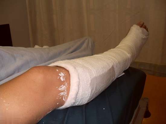 最适合老年人补钙的食物