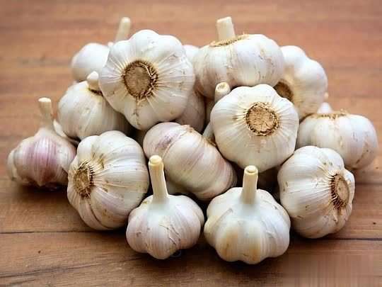 大蒜尿酸高能吃吗