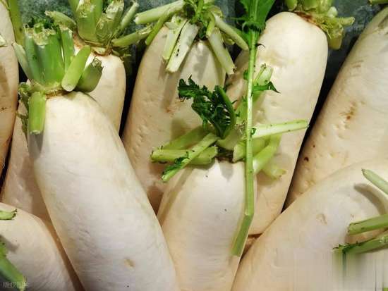 冬天进补适合吃什么食物