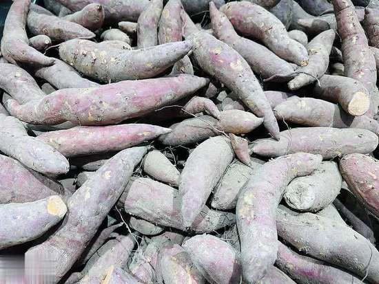 掉发严重人群的食谱