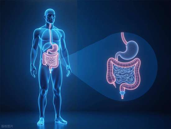 五更泻与肠易激的区别