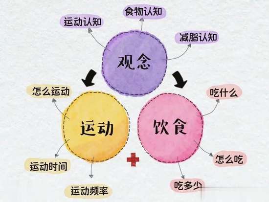 居家减脂增肌训练计划