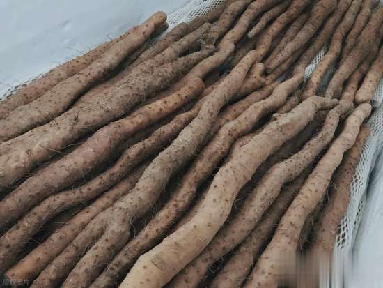 冬天进补适合吃什么食物