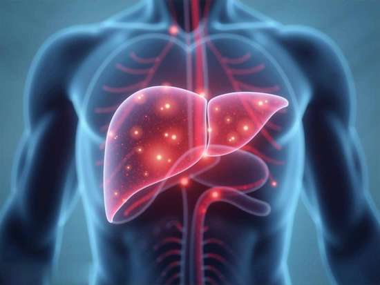 肝脏影响脑子不清醒