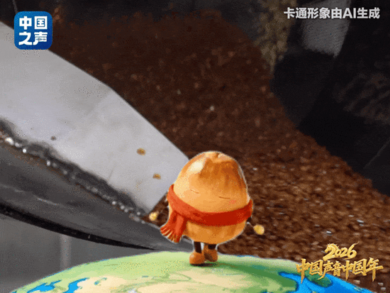 中国声音中国年