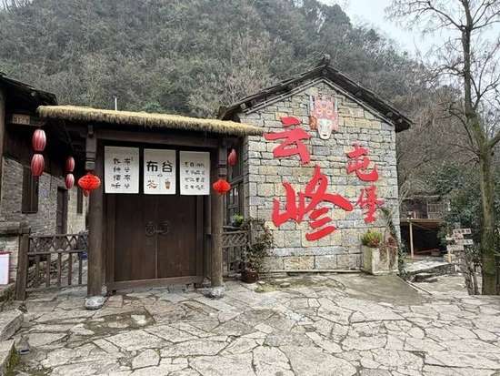 香港群星体验深中通道之旅