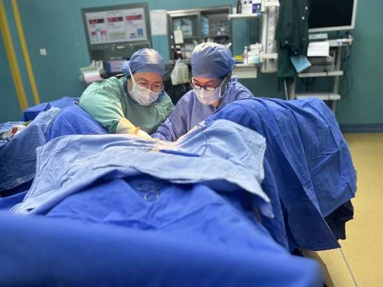 女演员南极跳水