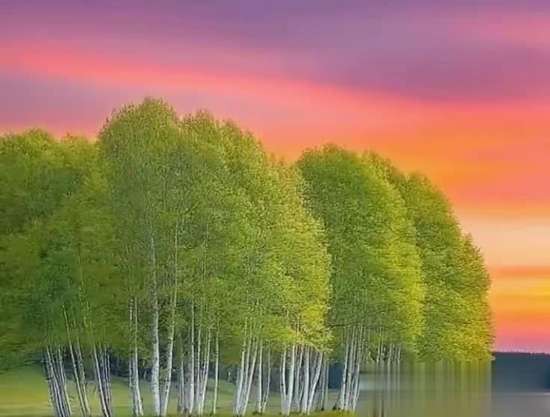 人老了怕三件事