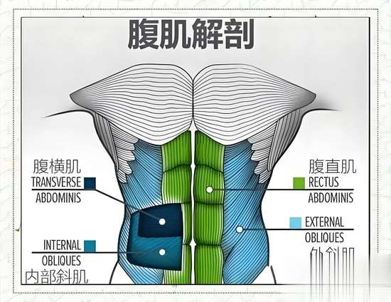 甩掉顽固小肚子