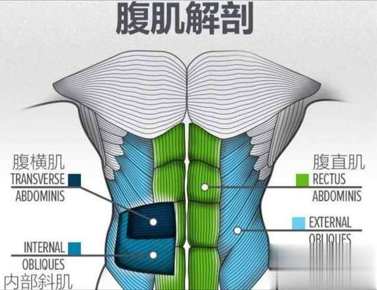 别做动作超清原视频