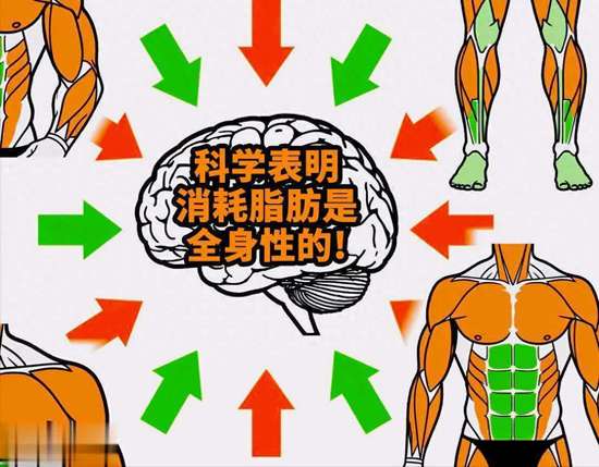 轻轻松松减掉大肚腩