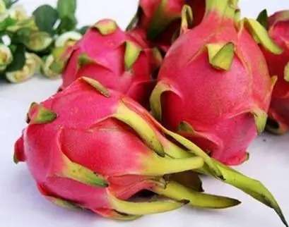 火龙果的功效是什么