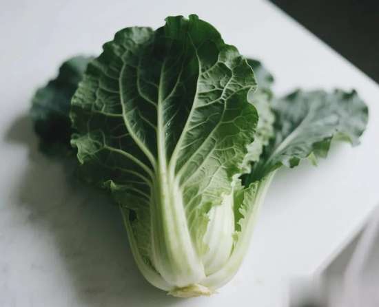 这种菜全身都是致癌物质千万别吃