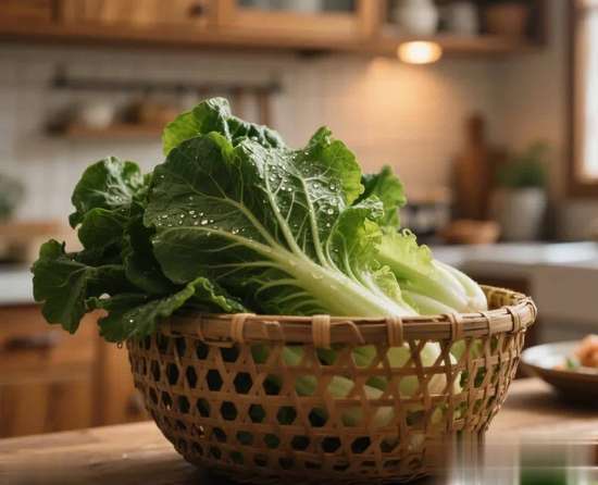 这种菜全身都是致癌物质千万别吃