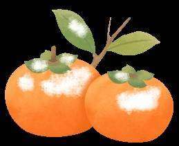 今年过年带女朋友回家过年