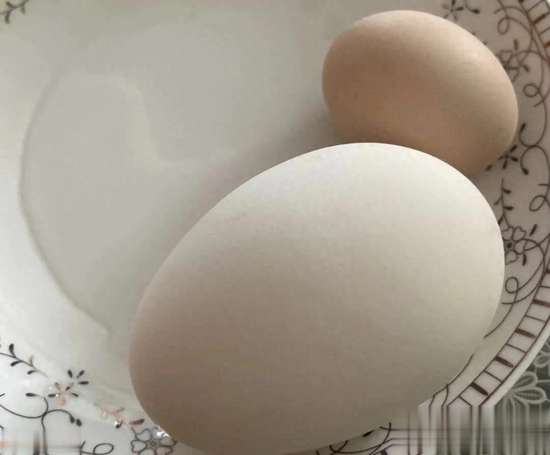 对心脏好的蛋类有哪些