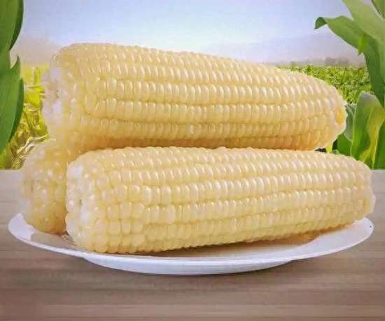 甜玉米的营养功效与作用