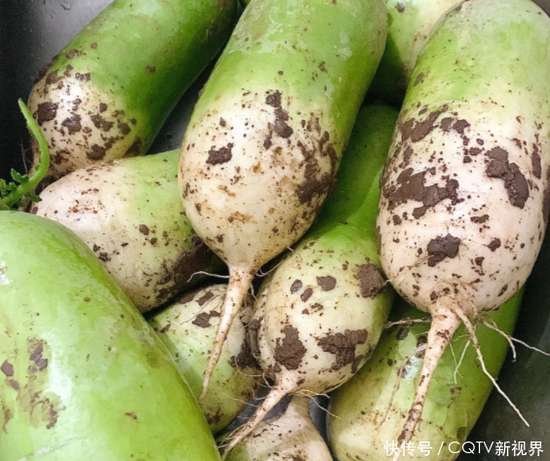 大寒后警惕三种病